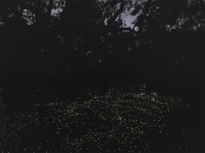 Arrive Early To Beat The Crowds