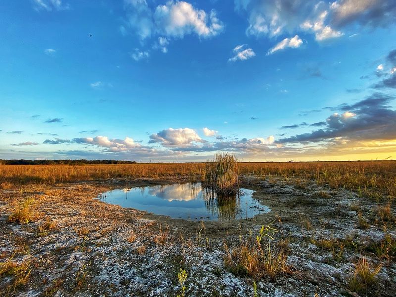 Everglades National Park (Homestead, Miami & Naples)