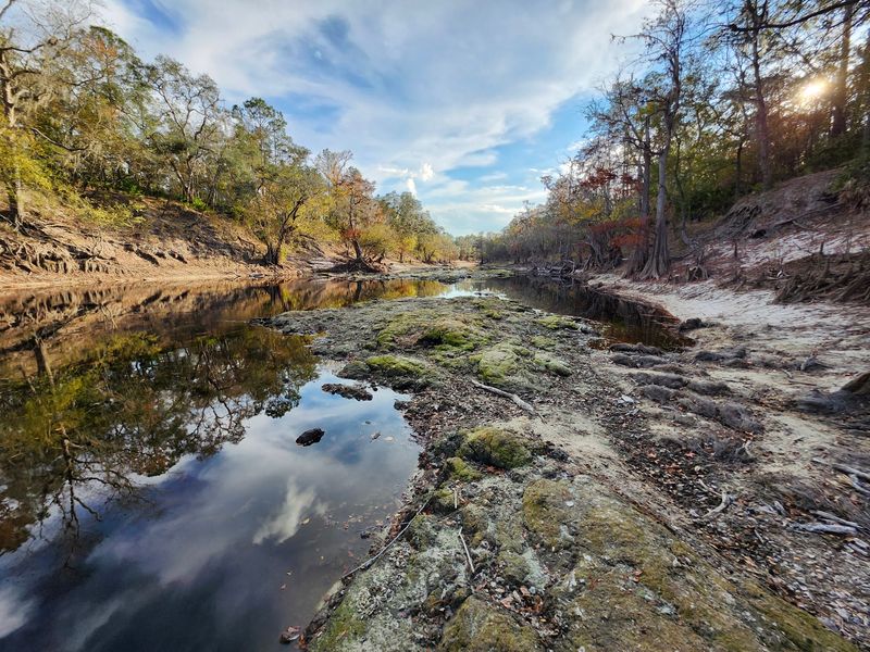White Springs