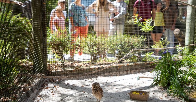 Audubon Center for Birds of Prey - Maitland, FL