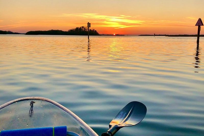 Choose Between Morning, Afternoon, or Magical Sunset Tours