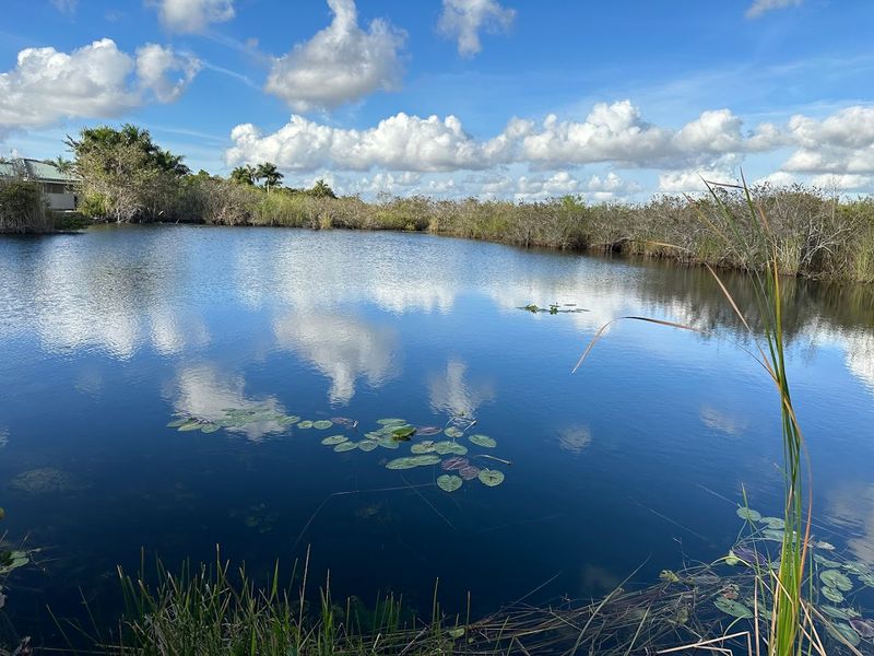 Anhinga Trail (Everglades National Park)