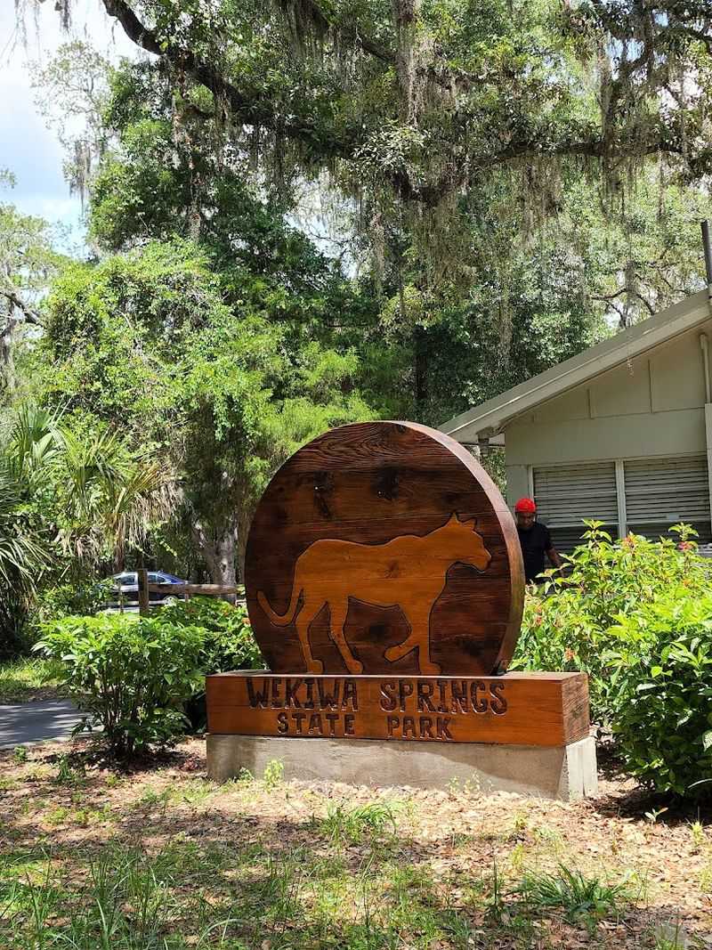 Camping Under the Stars at Wekiwa Springs