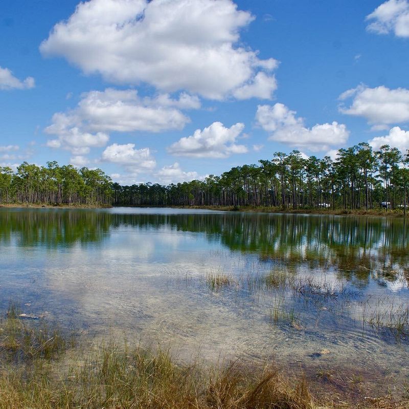 Everglades National Park (Homestead / Flamingo)