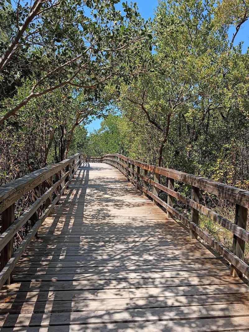 Golden Orb Trail Through Four Different Ecosystems