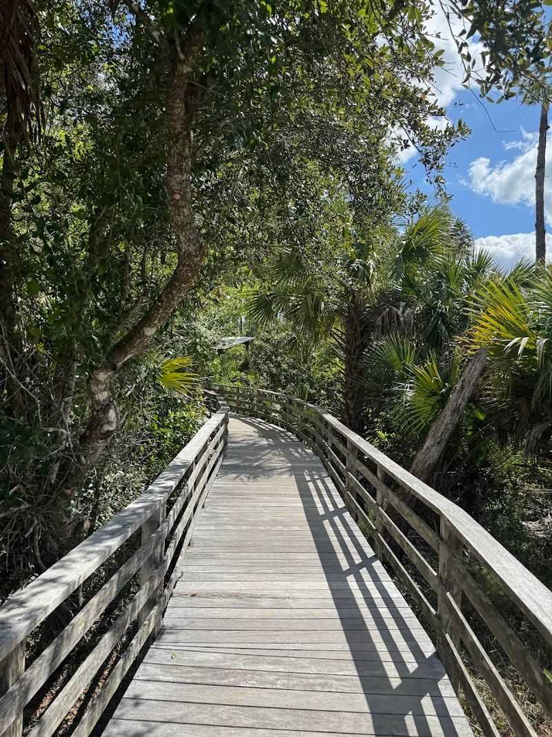 Corkscrew Swamp Sanctuary Boardwalk (Naples Area)