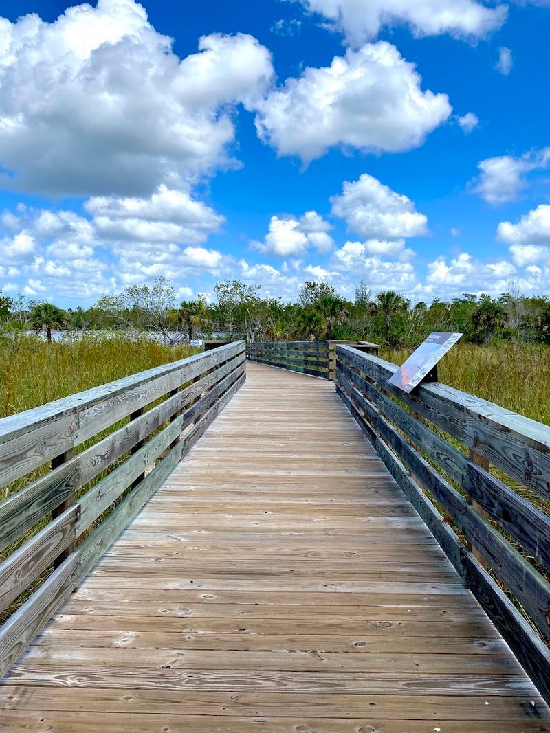 Planning Your Visit to Copeland, Florida