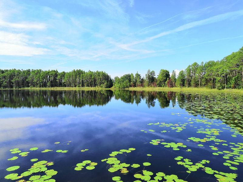 Lake Louisa (Clermont)
