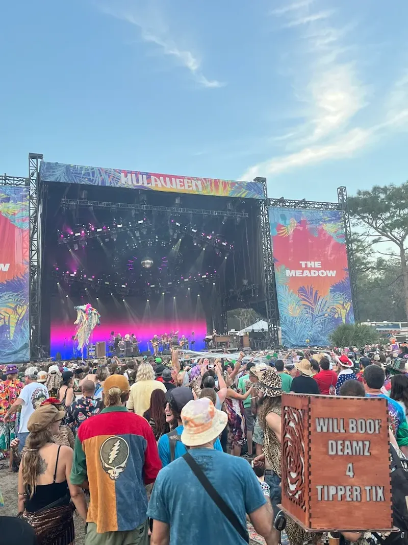 Seasonal Christmas Light Display And Special Events