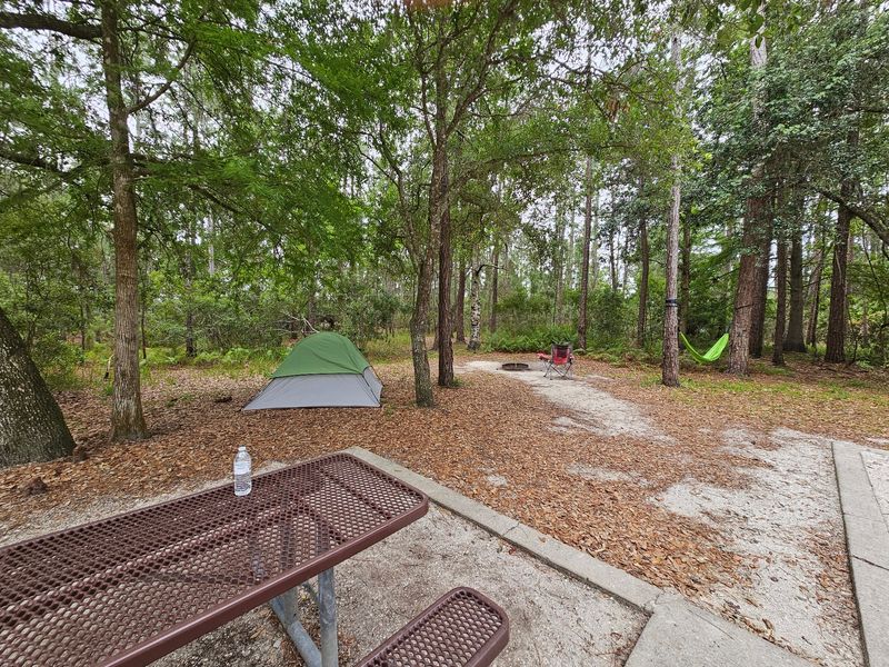 Moss Park (Orlando)