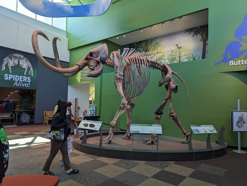 Florida Museum of Natural History, Gainesville