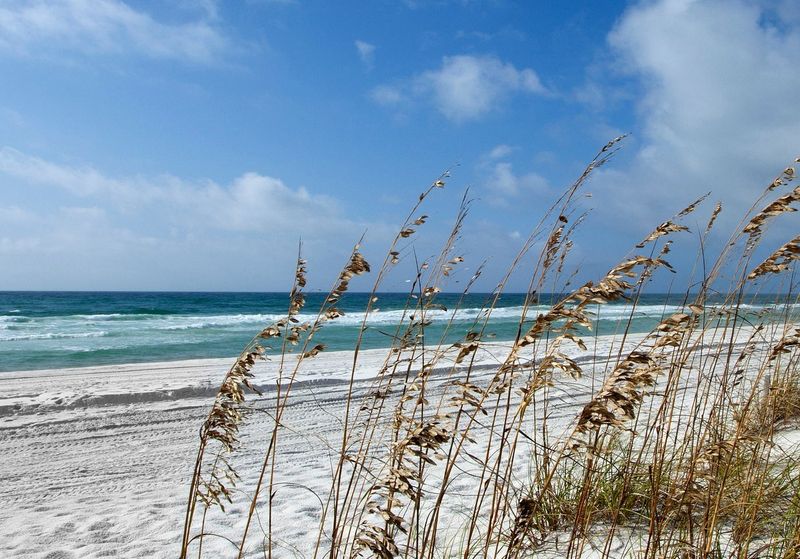 Pensacola Beach