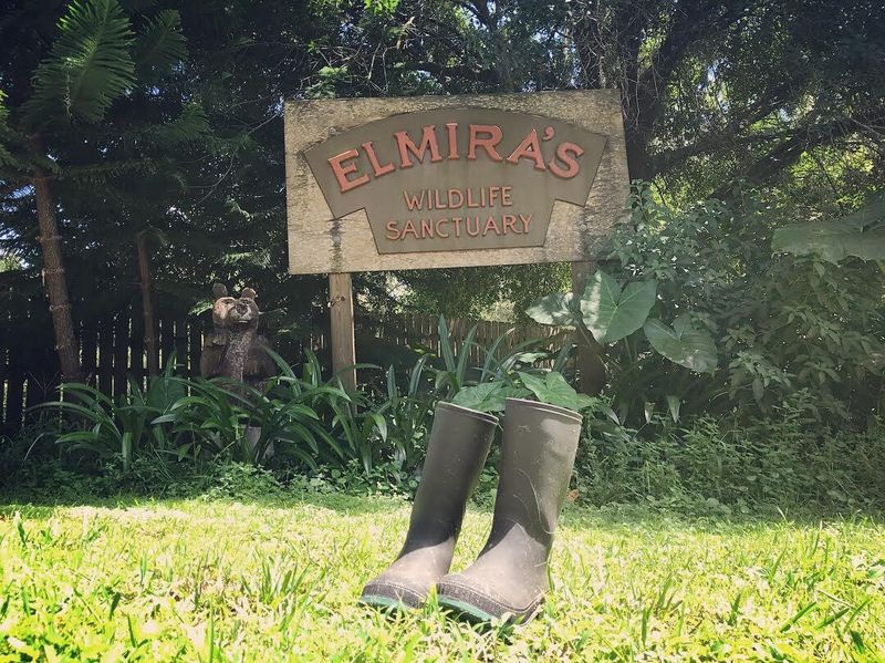Why Elmira's Wildlife Sanctuary Is One of Florida's Best-Kept Secrets