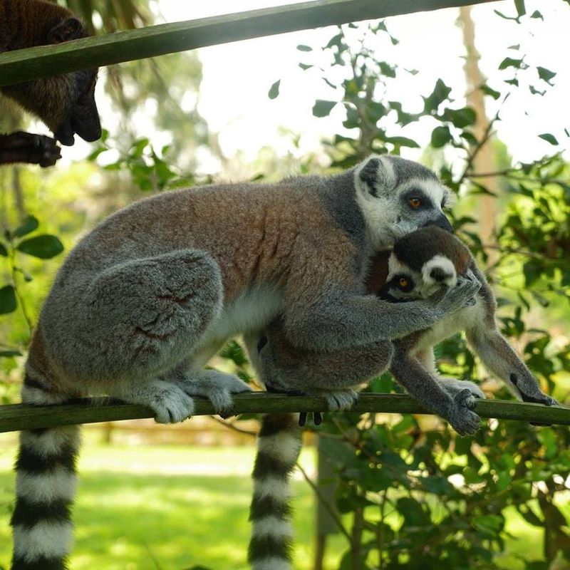 Guides Who Make It Magic