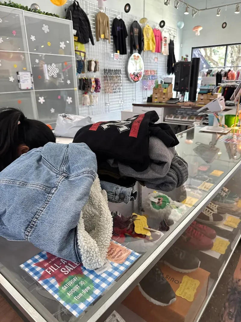 Organization That Actually Makes Sense