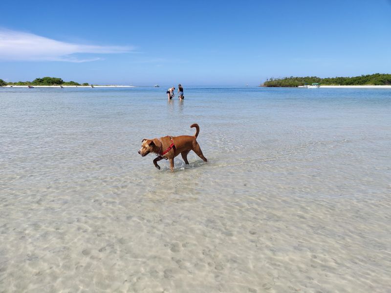 Bonita Beach Dog Park