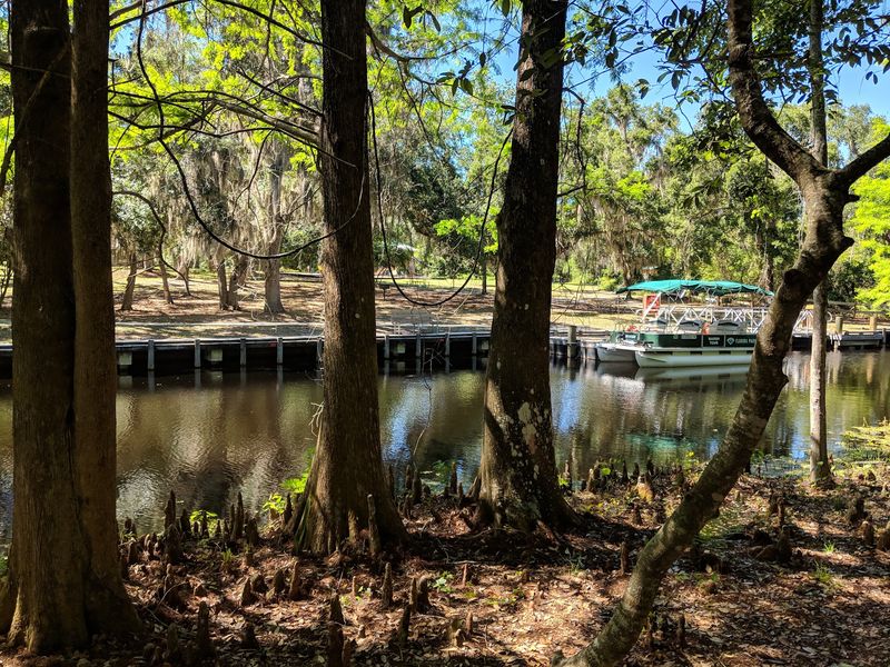 Lake Griffin State Park (Fruitland Park)