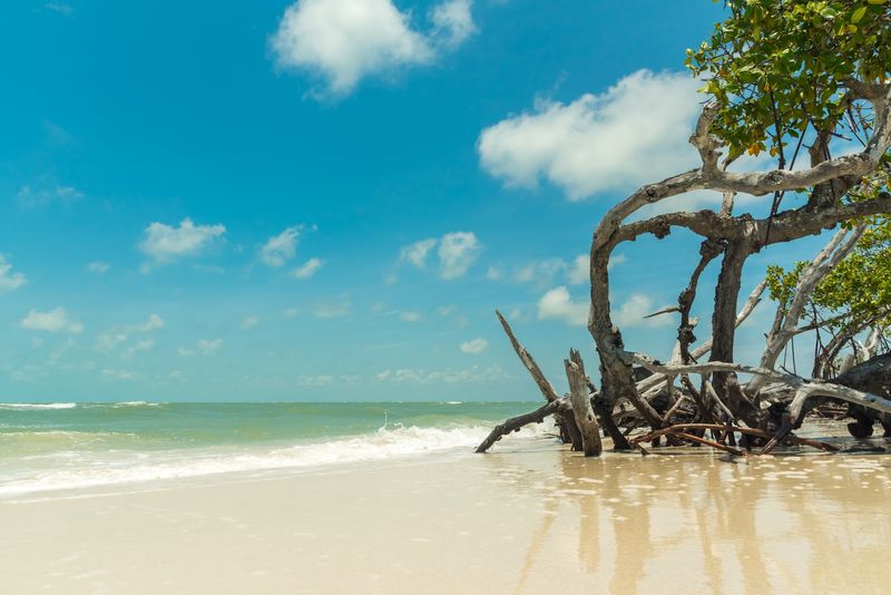 Big Hickory Island
