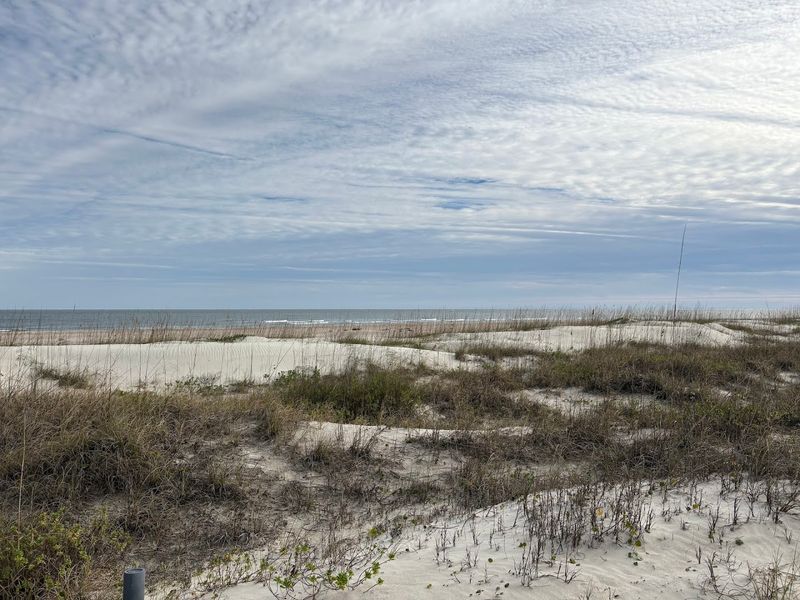 Amelia Island State Park (Fernandina Beach)