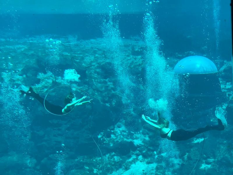 See A Live Mermaid Show In A Submerged Theater (Weeki Wachee Springs)