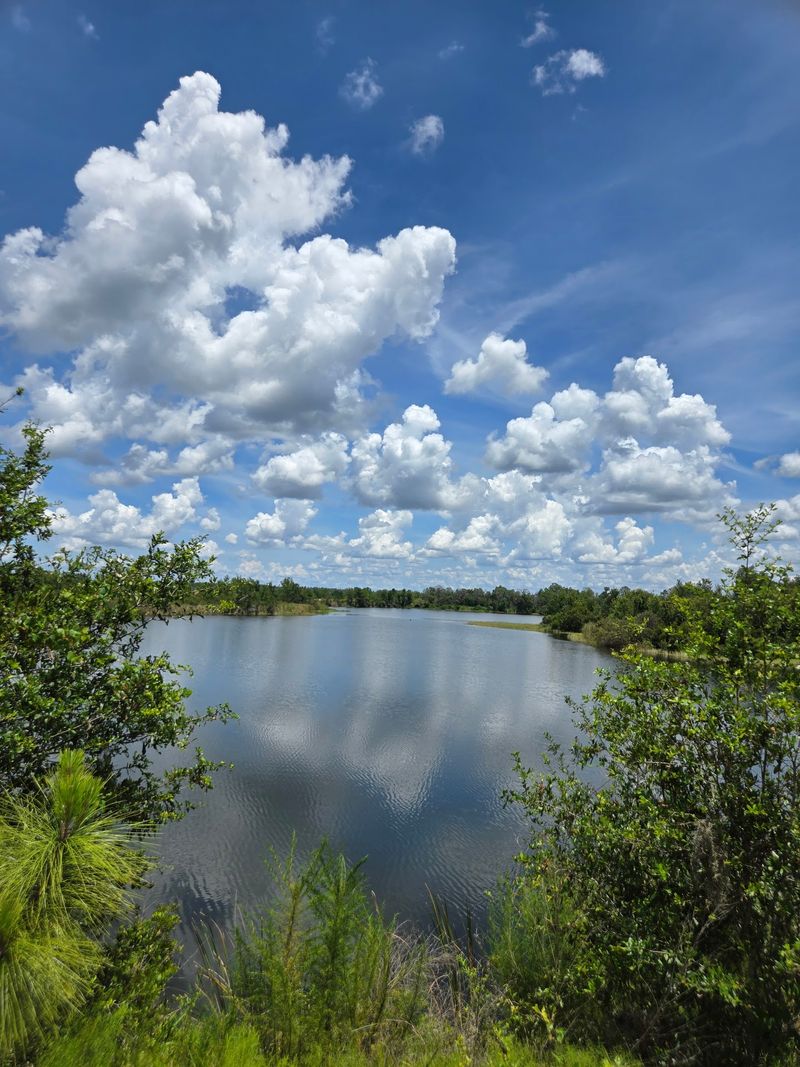 Bass Fishing On A Gorgeous Private Lake