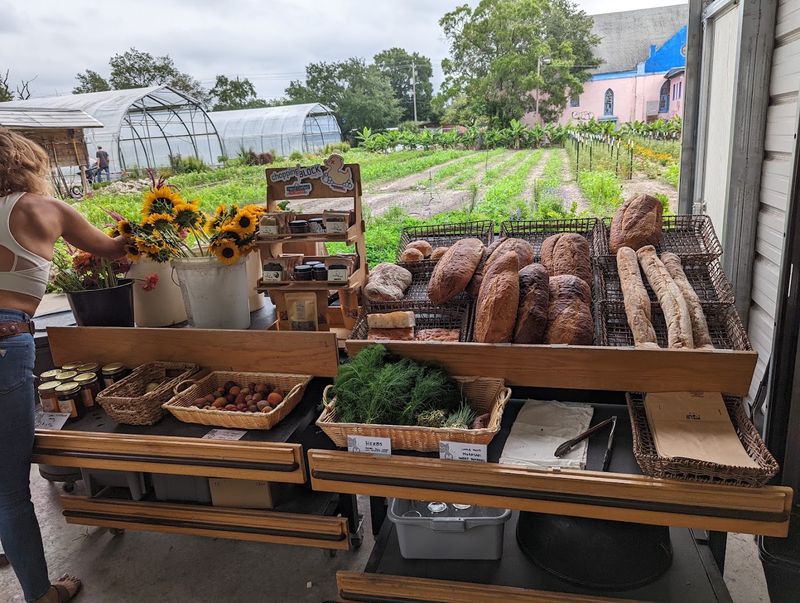 Artisan Sourdough Bread and Fermented Foods