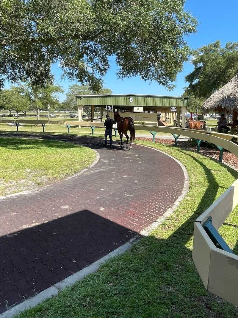 Why Ocala Keeps Rent Reasonable