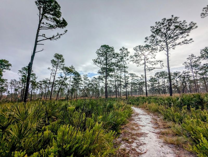 Horseback Riding Through the Park's Back Country