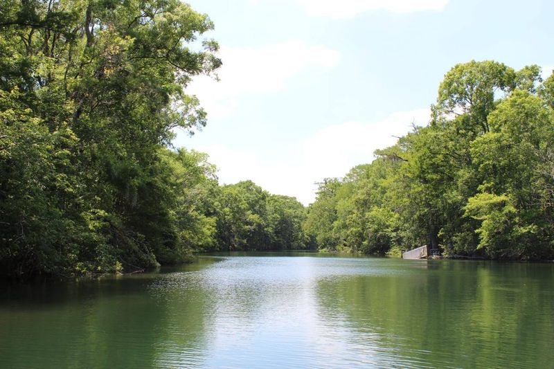 Wakulla River (Wakulla Springs)
