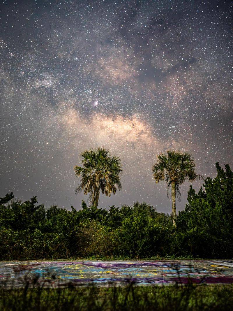 Kissimmee Prairie Preserve State Park
