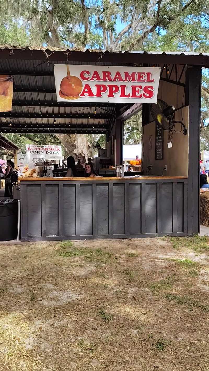 Save Room for Apple Cider Donuts and Camel Rides
