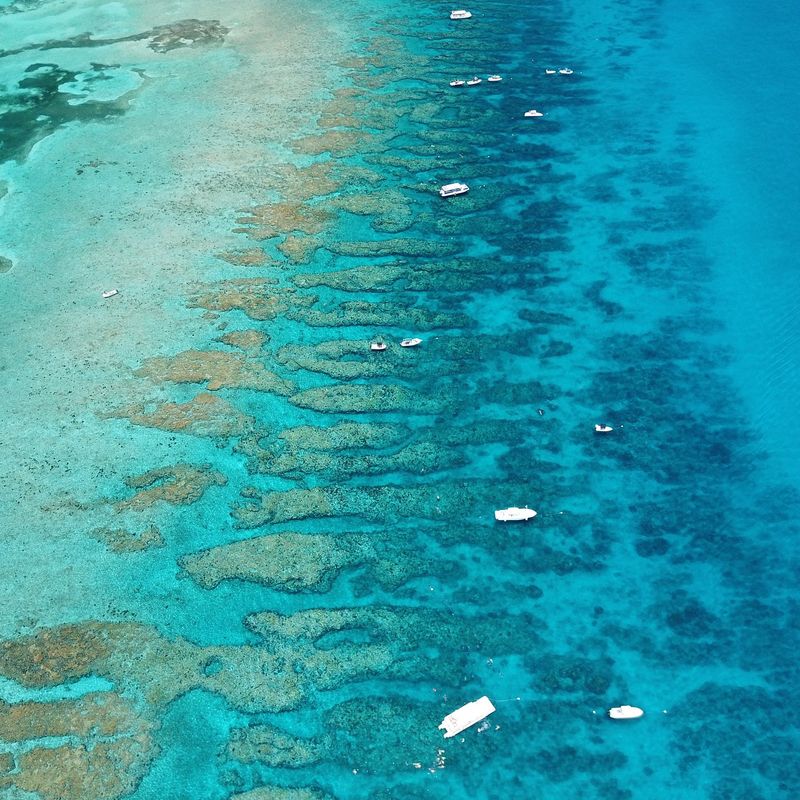 Why This Festival Matters for Ocean Conservation