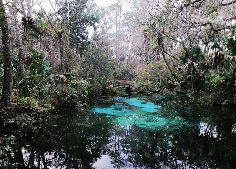 Hunting Opportunities During Designated Seasons