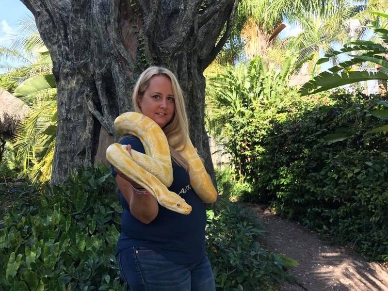 Snake Handling Experiences That Change Your Perspective on Reptiles