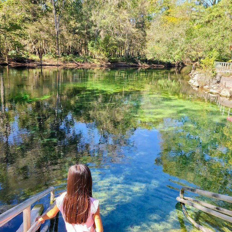 Poe Springs Park (High Springs)