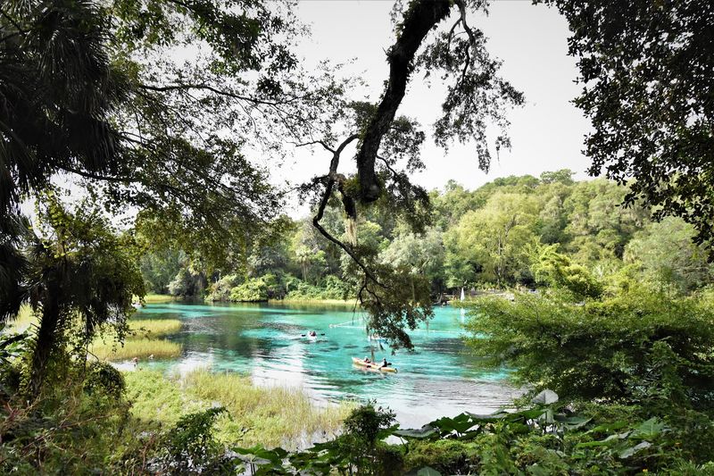 Rainbow Springs State Park (Dunnellon)