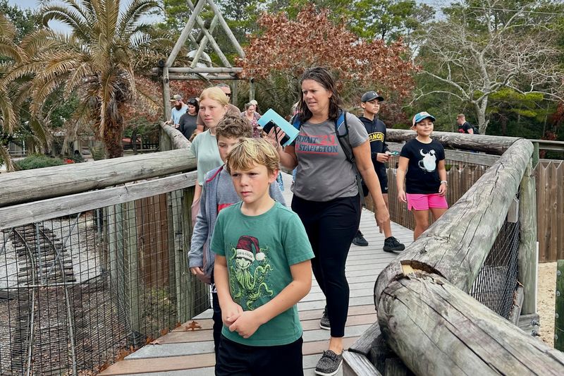 Elevated Boardwalk Safari Over Wildlife Preserve