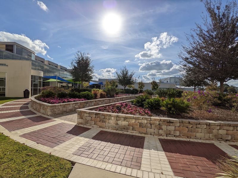 Established Healthcare Services for Aging Residents