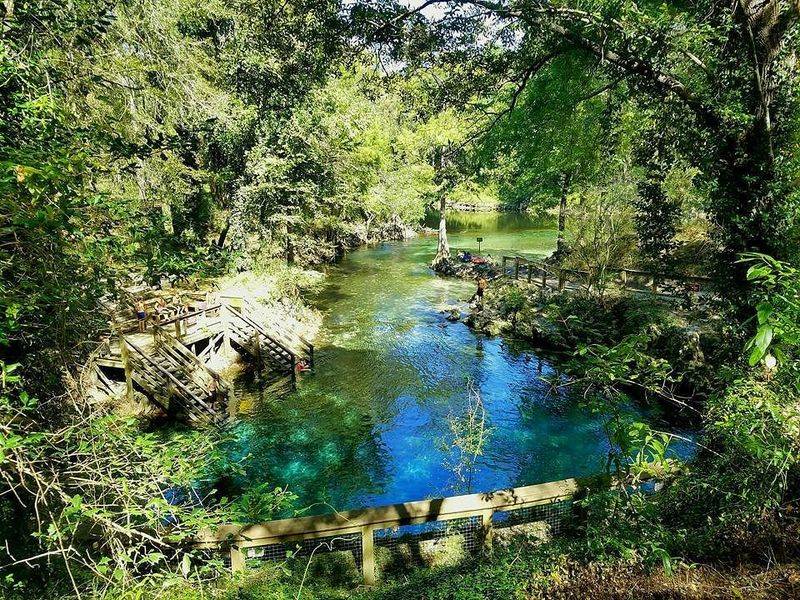Madison Blue Spring State Park (Lee)