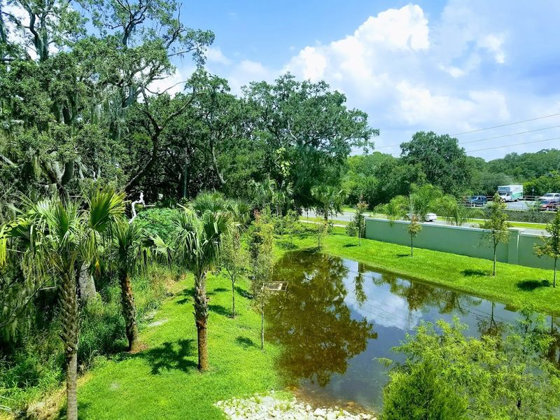 Palm Harbor