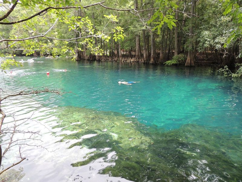 Chiefland (Nature Coast)
