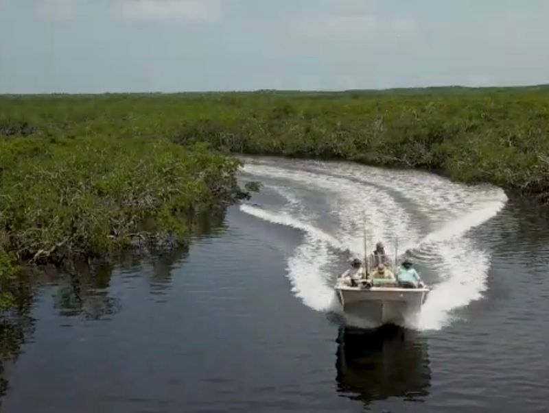 Florida Keys Backcountry Lagoons (Key Largo to Key West)