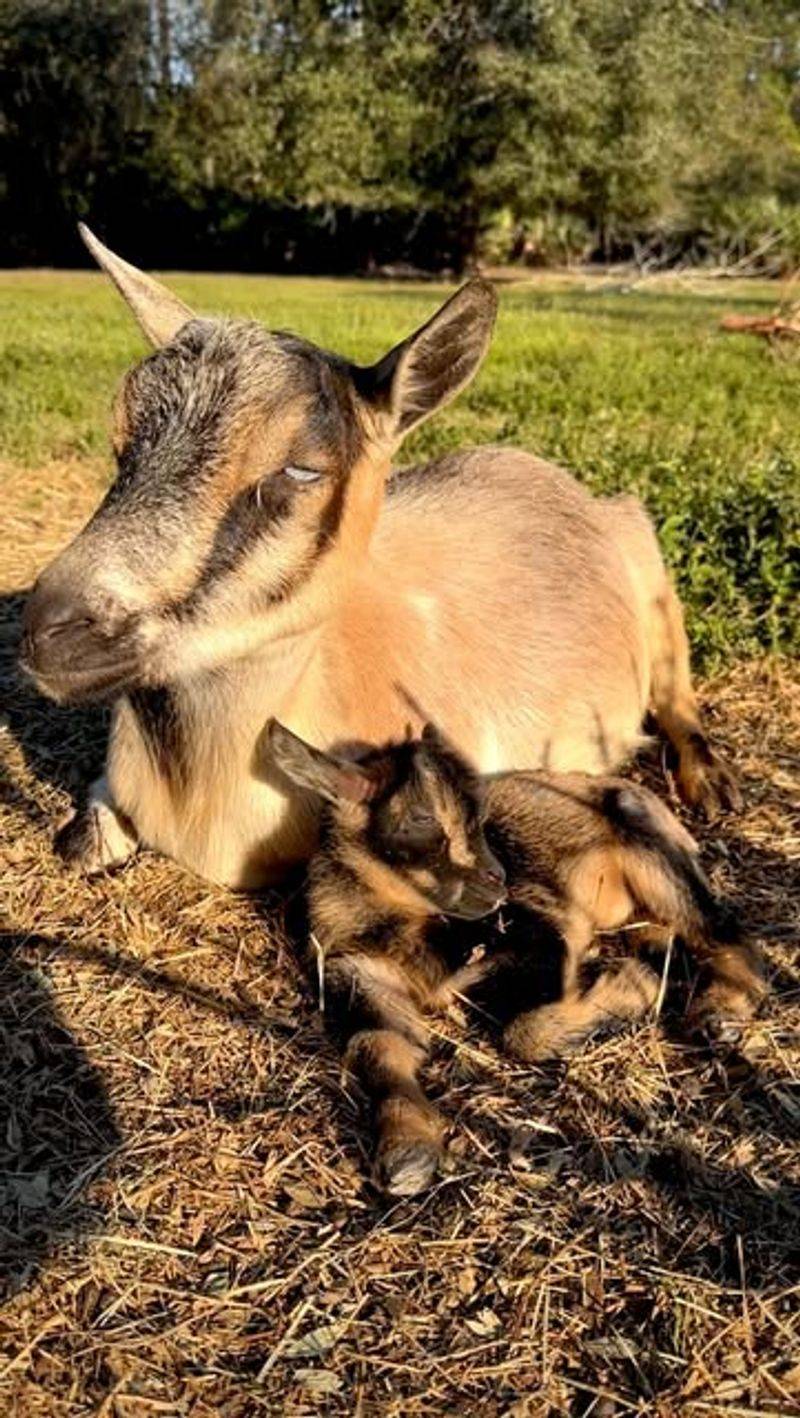 What To Know Before You Go