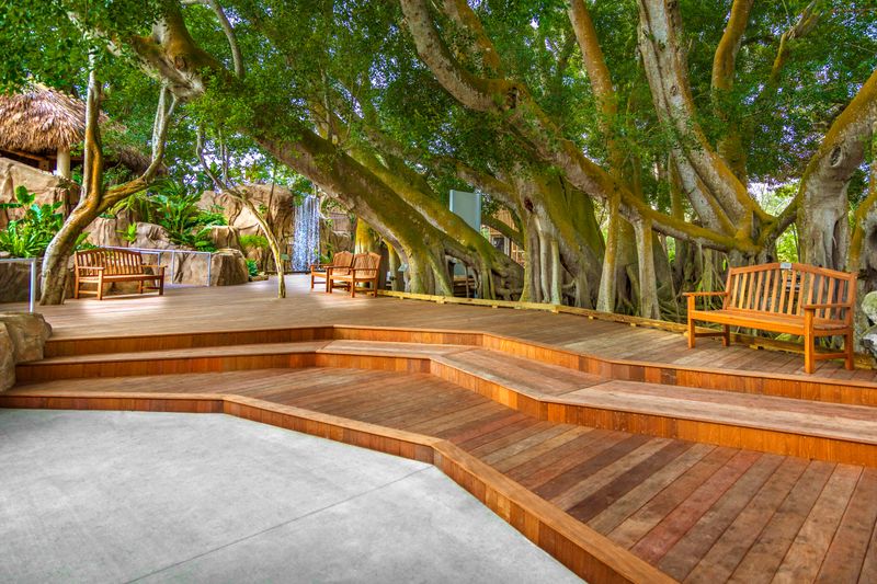 Treehouse-Style Platforms for Imaginative Play