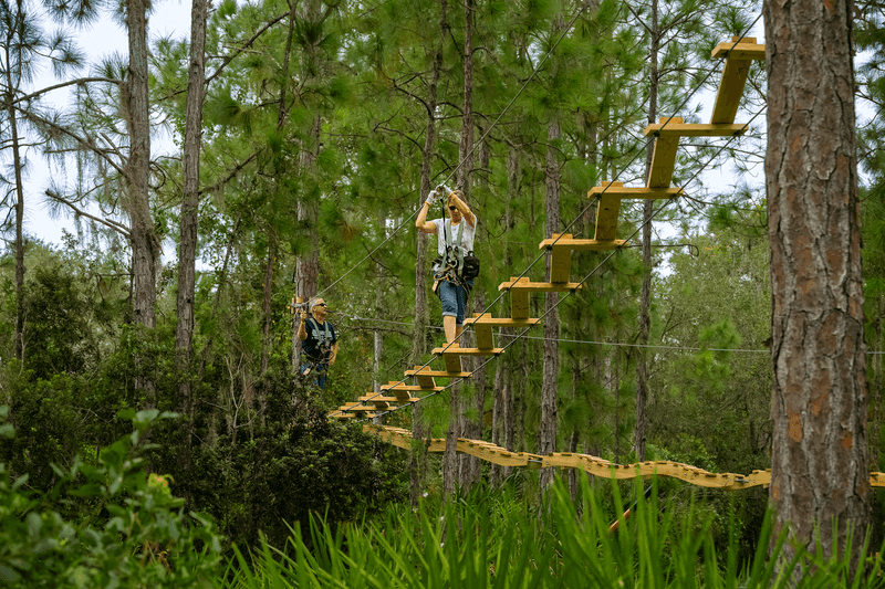 TreeUmph! Adventure Course (Bradenton)