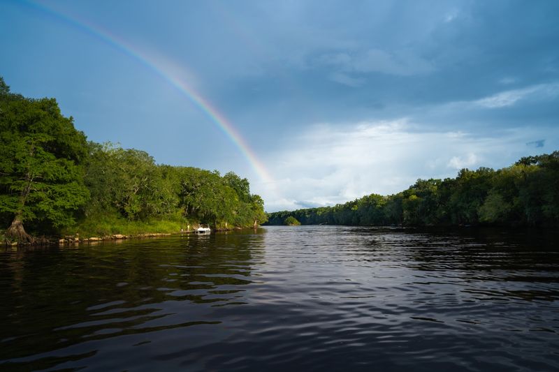 Suwannee River Nearby