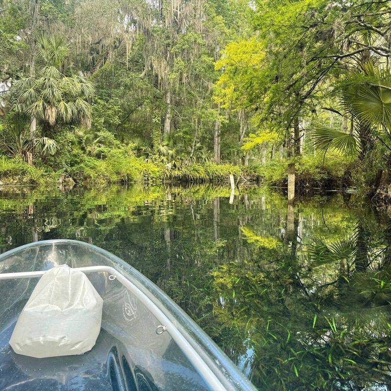 Paddle Silver Springs State Park (Ocala)
