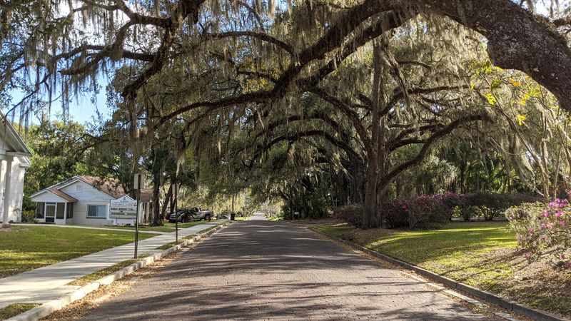 Brooksville (Central West Florida)