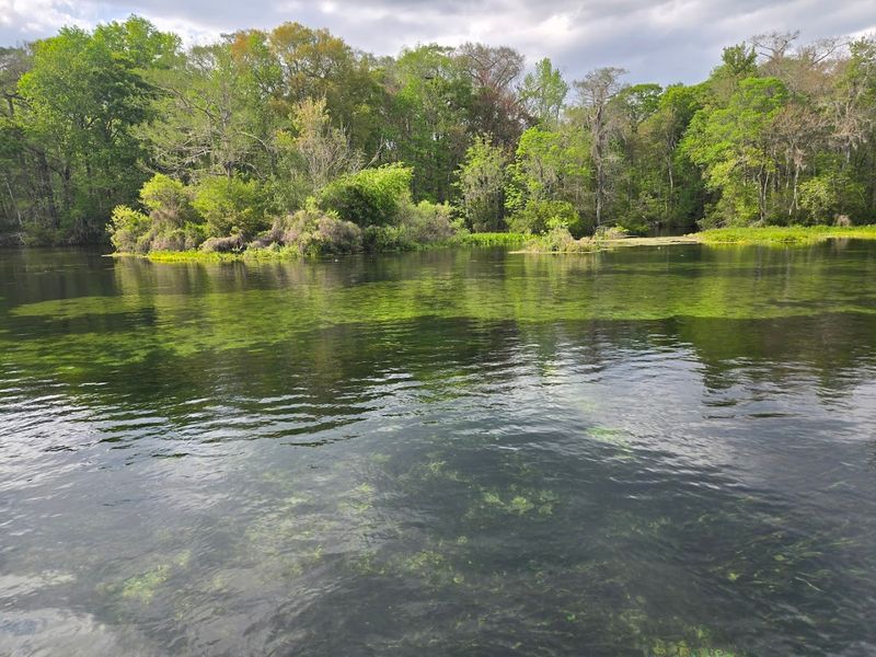 Wakulla Springs State Park