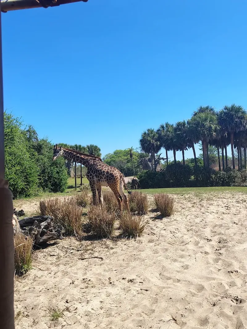 Up-Close Animal Encounters